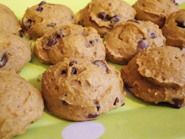 Pumpkin Chocolate Chip Cookies