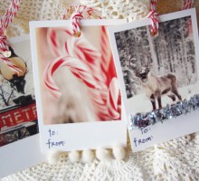 Typo Christmas Cards